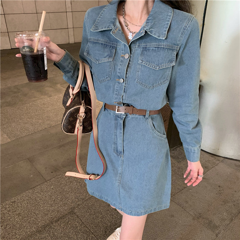 Rayna Denim Dress