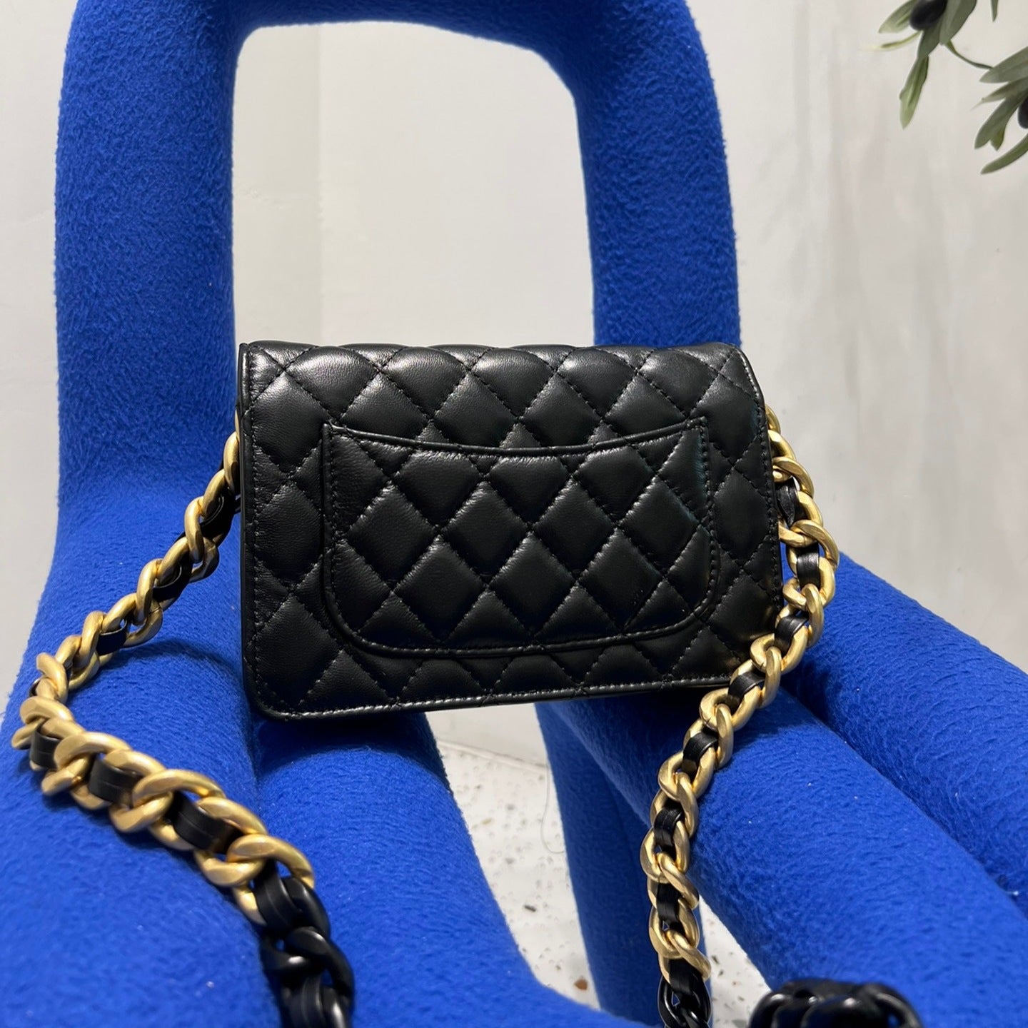 Jubilee Lambskin WOC