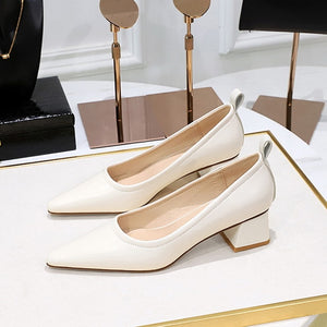 Shelby Pointed Thick Heel Pumps