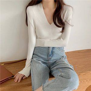 Audrene V-Neck Knit Top