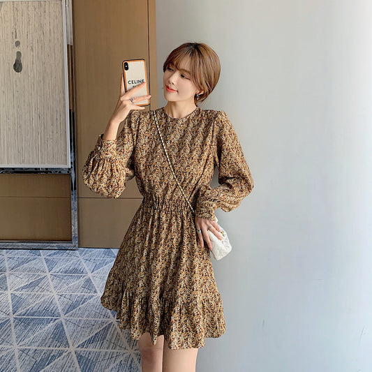 Printed Elastic Waist Long Sleeve Ruffle Hem Dress