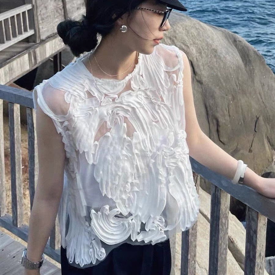 Elsie Hollow Mesh Lace Top