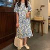 Liz Floral Print Dress
