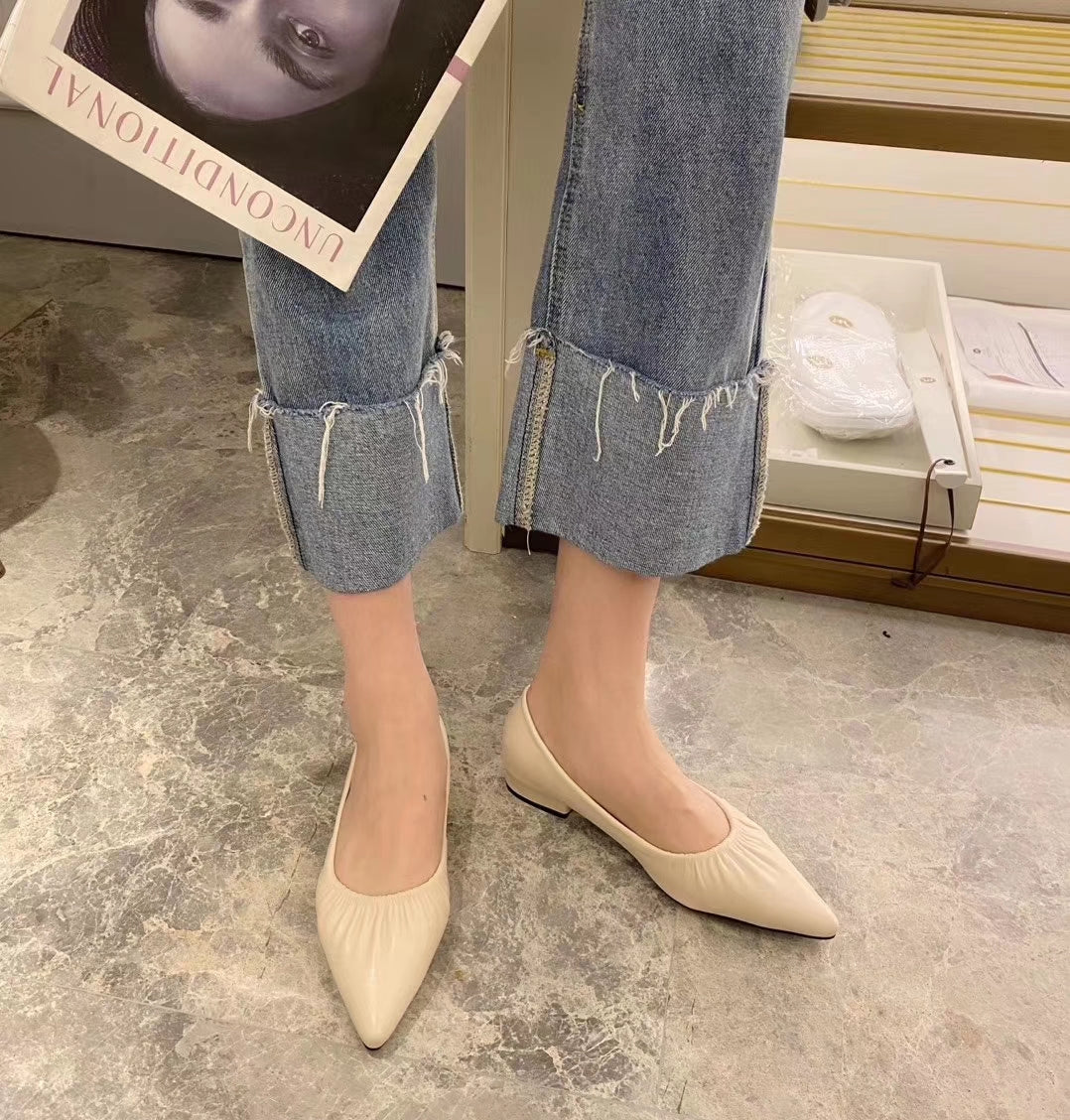 Pointed Toe Ballerina Flats