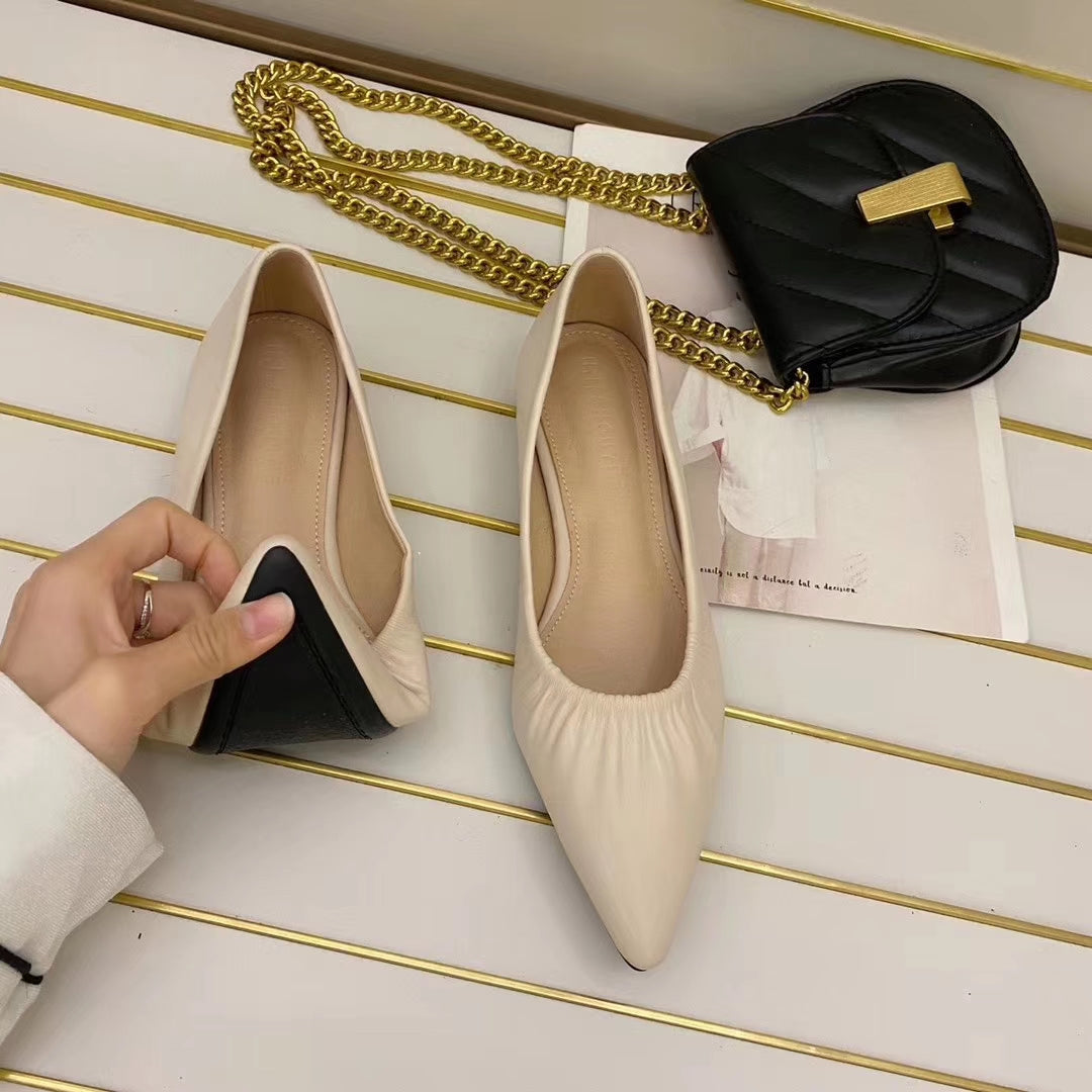 Pointed Toe Ballerina Flats