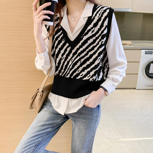 Zebra V-Neck Knit Pullover